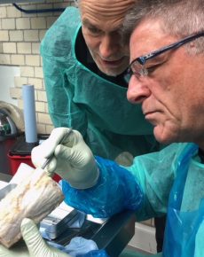 Universidade da Fáscia participa do projeto Plastinarium na Alemanha