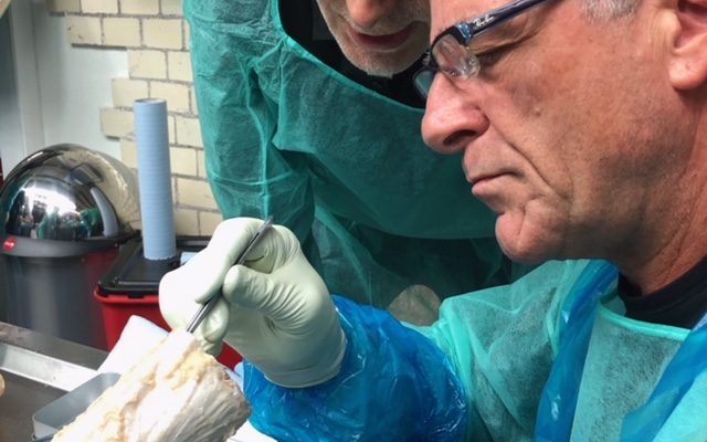 Universidade da Fáscia participa do projeto Plastinarium na Alemanha